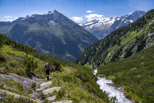 Mountaineer on a hiking trail by a stream, Berliner Hoehenweg, summit Grosser Ingent and Grosser