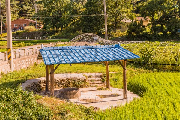 Concrete irrigation well under structure with blue metal roof at edge of rice paddy in rural
