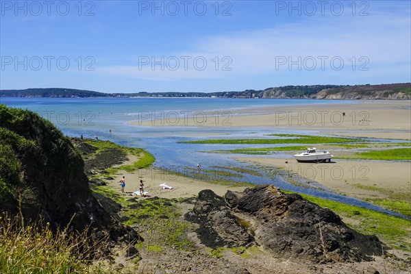 Sandy beach beach Plage de l'Aber with green algae in the Anse de Morgat, behind Morgat, Crozon