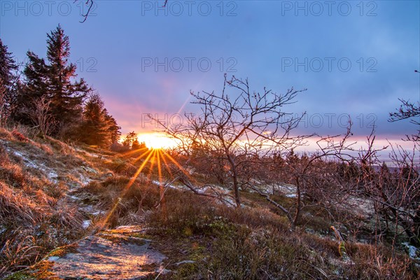 Landscape on the Grosser Feldberg, Taunus volcanic region. A cloudy, sunny winter day, meadows,