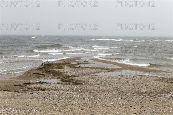 Stormy weather, waves in the Gulf of Saint Lawrence, Gaspesie, Province of Quebec, Canada, North