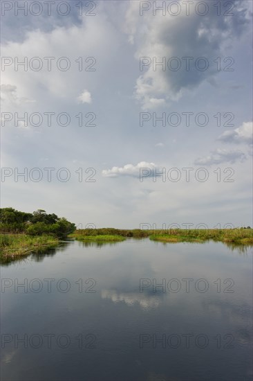 River cruise in the Okavango Delta, reeds, clouds, nature, natural landscape, landscape, nobody,