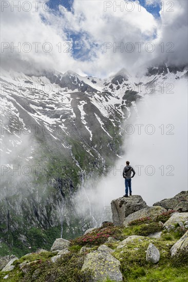 Mountaineer standing on a rock, cloudy mountain landscape with blooming alpine roses, view of rocky