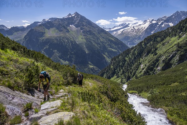 Two mountaineers on a hiking trail by a stream, Berliner Hoehenweg, summit Grosser Ingent and