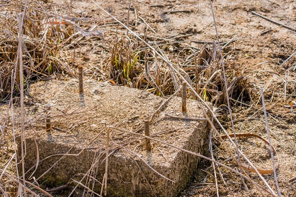 Concrete block with threaded metal bars that is part of building foundation in tall grass of dried