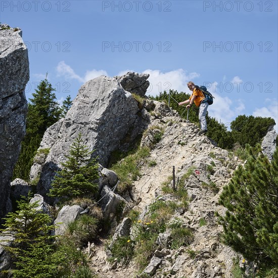 Hiker walking on a secured passage on the Brecherspitze, Spitzingsee, Mangfall mountains, Bavarian