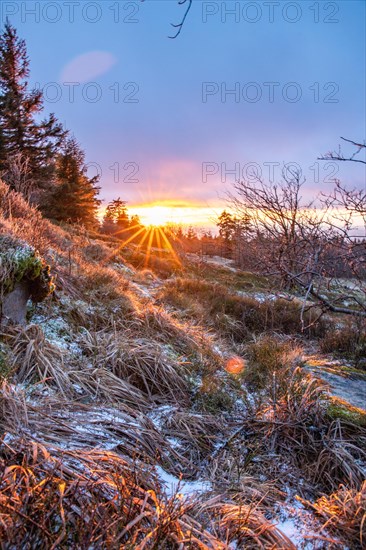 Landscape on the Grosser Feldberg, Taunus volcanic region. A cloudy, sunny winter day, meadows,