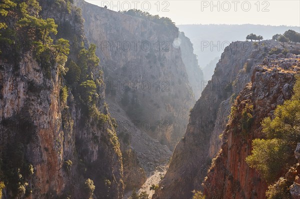 Deep view into a wooded gorge penetrated by gentle sunbeams, Aradena Gorge, Aradena, Sfakia, Crete,