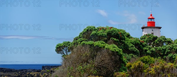 View of the lighthouse Farol da Ponta da Iha, surrounded by green flora and red blossoming trees,