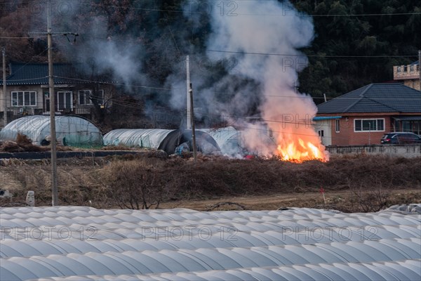 Large open fire with yellow flames and billowing smoke outside near a red brick house and three