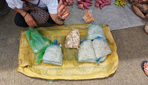 Vendor sitting and waiting for costumers at a farmer's market selling local organic vegetable,