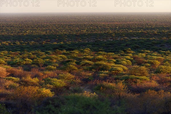 African country in the Waterberg area, nature, wide view, flora, country, landscape, evening sun,