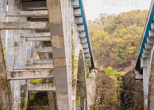 Landscape of Ivy vines crawling up large concrete bridges with wooded area and a dull white sky in