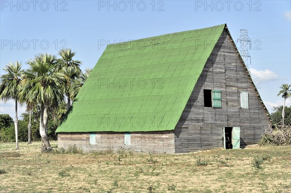Tobacco drying house, near Vinales, Valle de Vinales, Cuba, Greater Antilles, Caribbean, Central