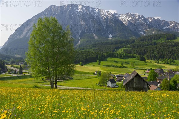 Summer austrian landscape with Grimming mountain (2.351 m), an isolated peak in the Dachstein