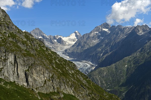 Narrow mountain valley with Fiescher Glacier and Finsteraarhorn, Bernese Alps, Valais, Switzerland,