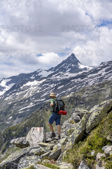 Mountaineer on rocky hiking trail, Berliner Hoehenweg, mountain panorama with summit Schrammacher,