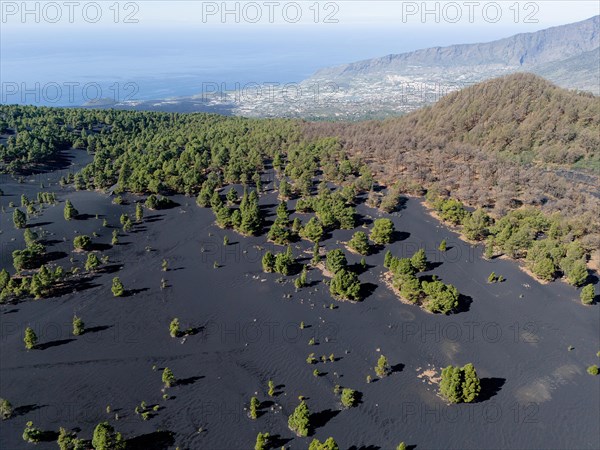 Aerial view of the lava sand areas Montana de Enrique and Quemada, Tacande de Arriba, Los Llanos,