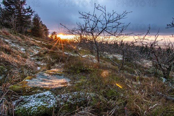 Landscape on the Grosser Feldberg, Taunus volcanic region. A cloudy, sunny winter day, meadows,