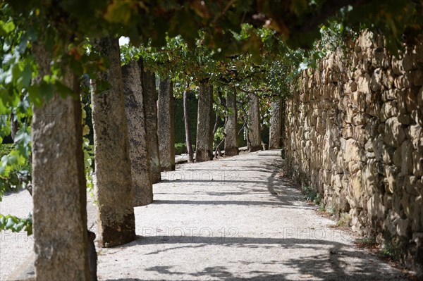 Path, Jardim das Coroas, Mateus Palace (Fundacao da Casa de Mateus), Mateus, Vila Real, Portugal,