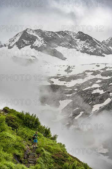 Mountaineers on a hiking trail, in the background glaciated peak Dosso Largo and glacier