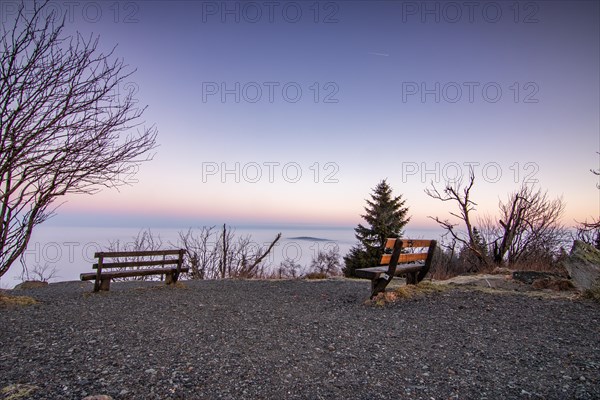 Landscape on the Grosser Feldberg, Taunus volcanic region. A cloudy, sunny winter day, meadows,