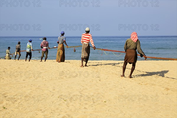 Traditional fishing hauling nets Nilavelli beach, near Trincomalee, Eastern province, Sri Lanka,