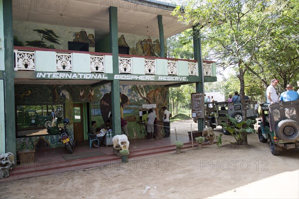 Elephant safari in Hurulu Eco Park biosphere reserve, Habarana, Anuradhapura District, Sri Lanka,
