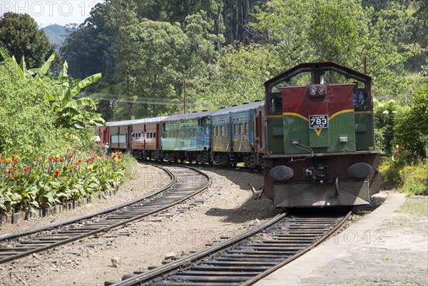 Train arriving at platform railway station Ella, Badulla District, Uva Province, Sri Lanka, Asia