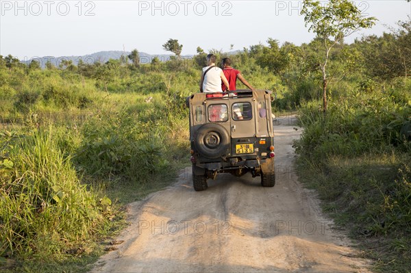 Elephant safari in Hurulu Eco Park biosphere reserve, Habarana, Anuradhapura District, Sri Lanka,