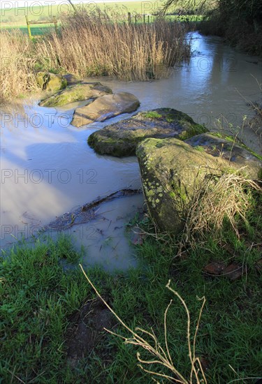Stepping stones at Swallowhead Springs ancient sacred site, River Kennet, West Kennet, Wiltshire,