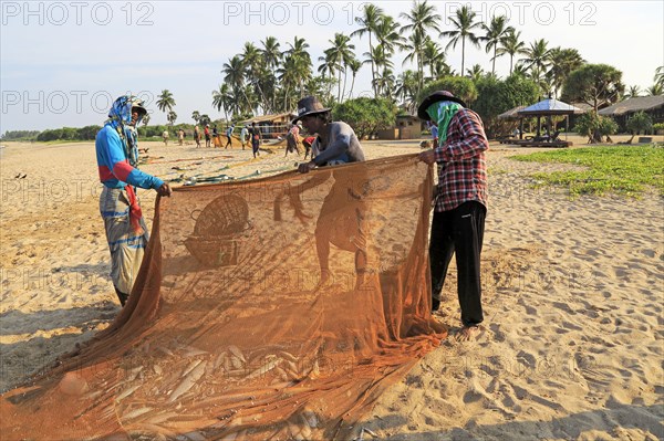 Traditional fishing hauling nets Nilavelli beach, near Trincomalee, Eastern province, Sri Lanka,