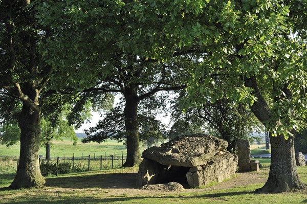 Megalithic Grand Dolmen de Weris and menhir made of conglomerate rock, Belgian Ardennes,