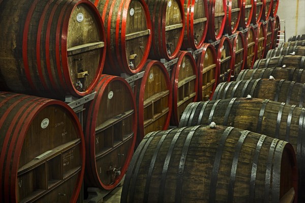 Oak barrels at Brouwerij Boon, Belgian brewery at Lembeek near Brussels, producer of geuze and