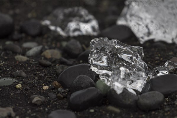 A piece of glacial ice, melting on the black sand beach near Joekulsarlon glacial lake on the