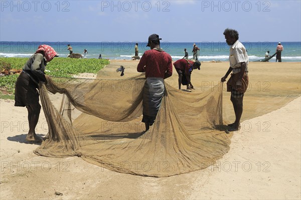 Traditional fishing hauling nets Nilavelli beach, near Trincomalee, Eastern province, Sri Lanka,