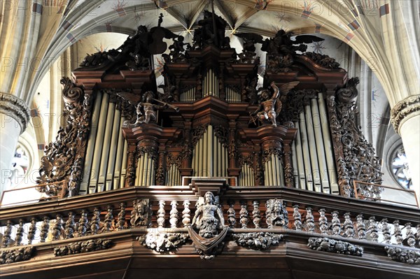 Organ, Heilig-Kreuz-Muenster, start of construction around 1315, Schwaebisch Gmuend,