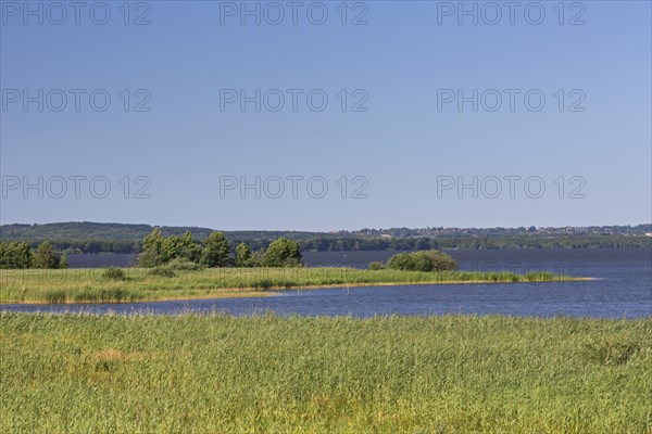 Steinhuder Meer, Lake Steinhude in the Hannoversche Moorgeest, Hanoverian Moor Geest in summer,