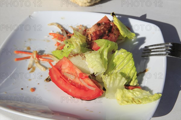 Plate of salad meal half finished Cordoba, Spain, Europe