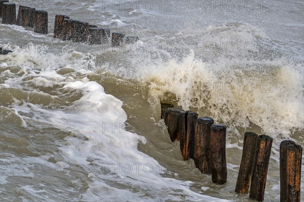 Wave crashing into wooden groyne, breakwater to avoid beach sand erosion during winter storm along