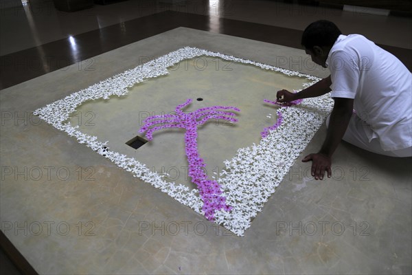 Frangipani petal picture in waterAmaya Beach Resort and Spa hotel, Pasikudah Bay, Eastern Province,