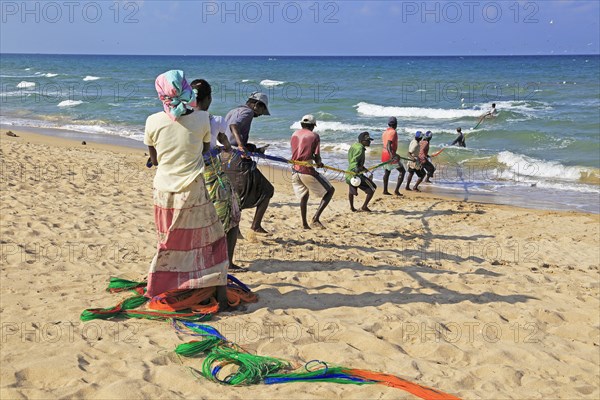 Traditional fishing hauling nets Nilavelli beach, near Trincomalee, Eastern province, Sri Lanka,