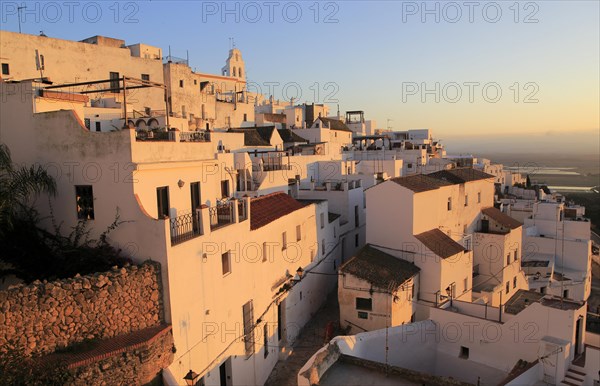 Pueblo blanco historic village whitewashed houses on hillside, Vejer de la Frontera, Cadiz
