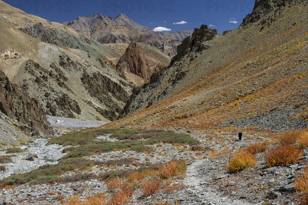 Trekking route in the Zherin Valley, a rarely visited trail in the Zanskar Region, with a trekker