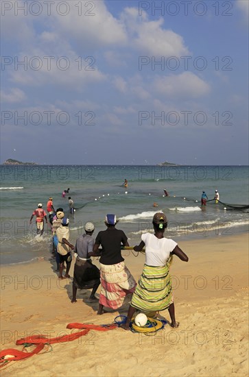 Traditional fishing hauling nets Nilavelli beach, near Trincomalee, Eastern province, Sri Lanka,