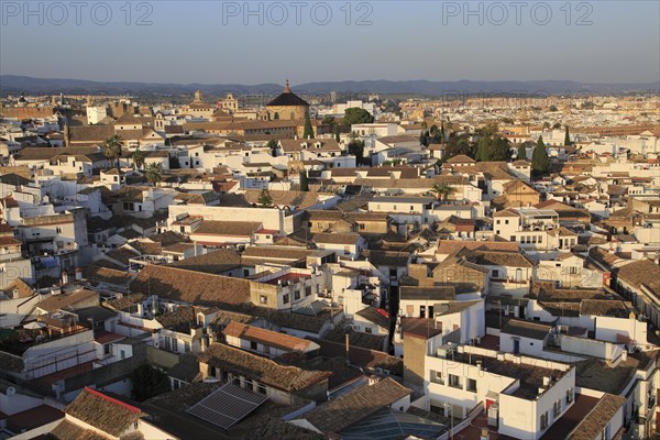 Oblique raised angle view of historic city centre buildings, Cordoba, Spain, Europe