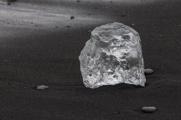 A piece of glacial ice, melting on the black sand beach near Joekulsarlon glacial lake on the