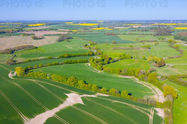 Aerial view over rural bocage landscape with fields and pastures, patchwork of plots surrounded by