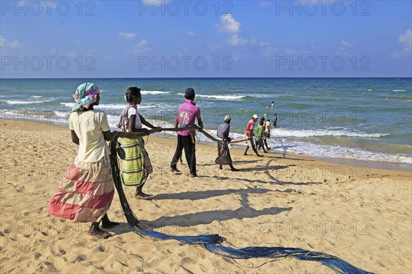 Traditional fishing hauling nets Nilavelli beach, near Trincomalee, Eastern province, Sri Lanka,