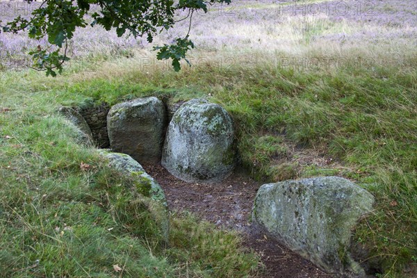 Passage grave at Oldendorfer Totenstatt, group of six burial mounds and megalith sites in Oldendorf